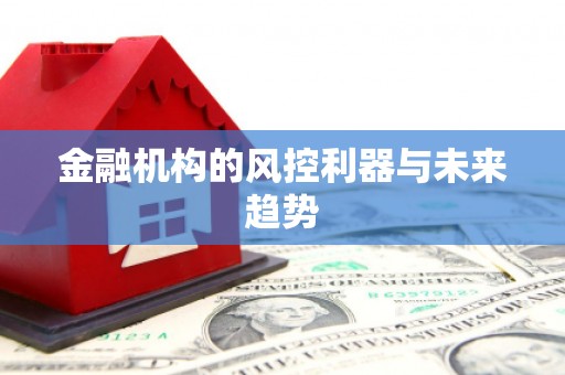 灵武金融机构的风控利器与未来趋势