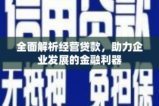 灵武全面解析经营贷款，助力企业发展的金融利器