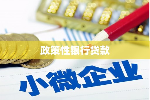 灵武政策性银行贷款