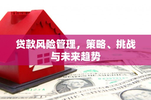 灵武贷款风险管理，策略、挑战与未来趋势