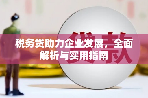灵武税务贷助力企业发展，全面解析与实用指南