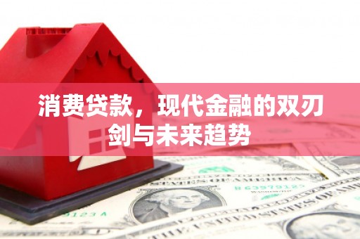 灵武消费贷款，现代金融的双刃剑与未来趋势