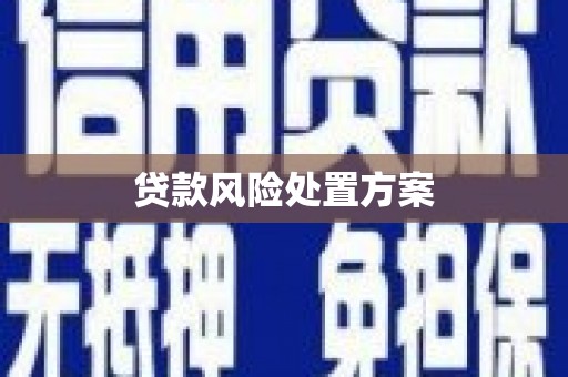 灵武贷款风险处置方案