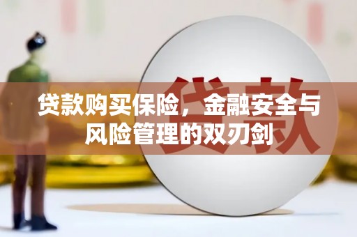 灵武贷款购买保险，金融安全与风险管理的双刃剑