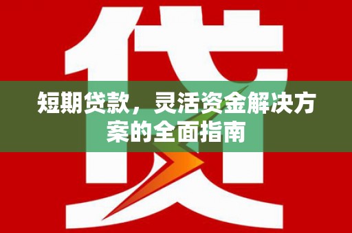 灵武短期贷款，灵活资金解决方案的全面指南