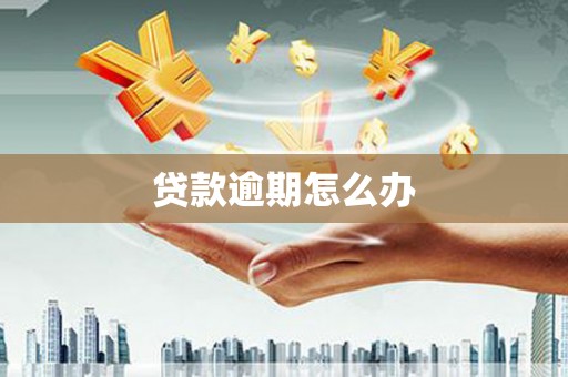 灵武贷款逾期怎么办