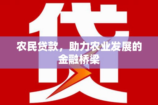 灵武农民贷款，助力农业发展的金融桥梁