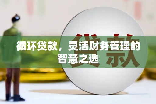 灵武循环贷款，灵活财务管理的智慧之选