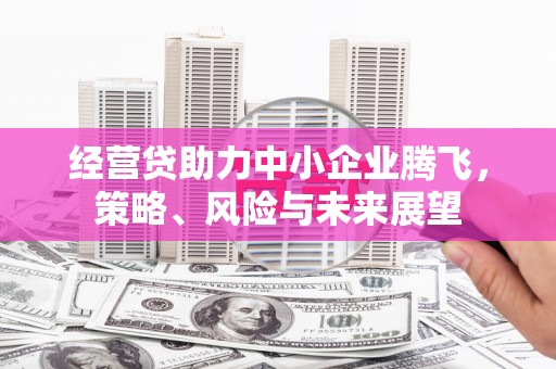 灵武经营贷助力中小企业腾飞，策略、风险与未来展望