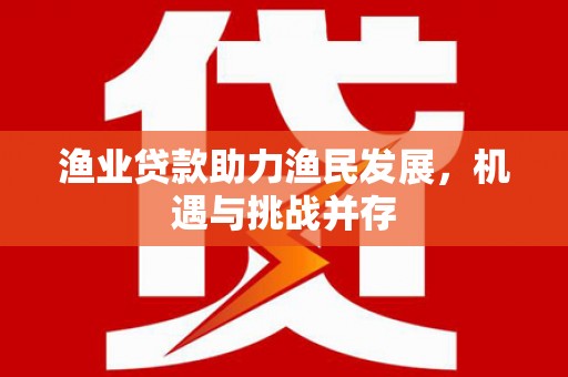 灵武渔业贷款助力渔民发展，机遇与挑战并存