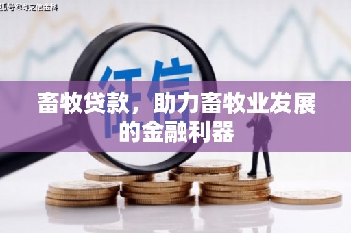 灵武畜牧贷款，助力畜牧业发展的金融利器