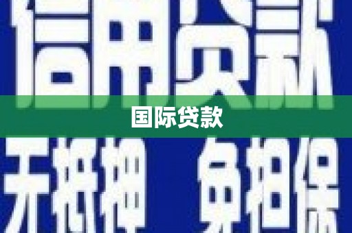 灵武国际贷款