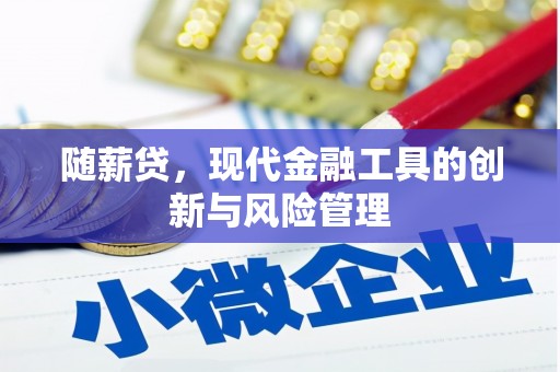 灵武随薪贷，现代金融工具的创新与风险管理