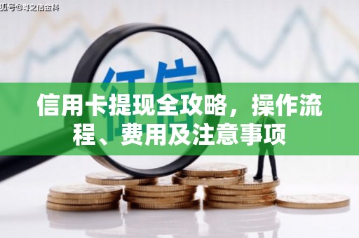 灵武信用卡提现全攻略，操作流程、费用及注意事项