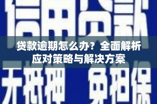 灵武贷款逾期怎么办？全面解析应对策略与解决方案