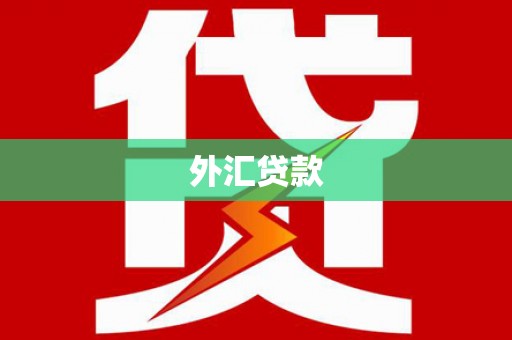 灵武外汇贷款