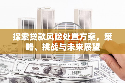 灵武探索贷款风险处置方案，策略、挑战与未来展望