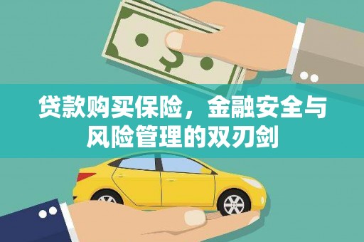 灵武贷款购买保险，金融安全与风险管理的双刃剑