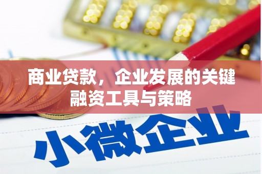 灵武商业贷款，企业发展的关键融资工具与策略