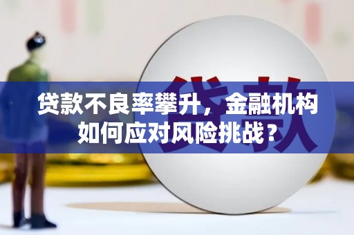 灵武贷款不良率攀升，金融机构如何应对风险挑战？