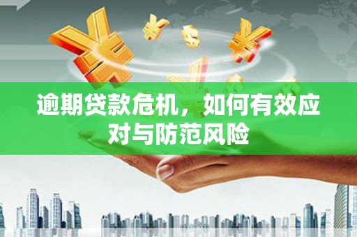灵武逾期贷款危机，如何有效应对与防范风险