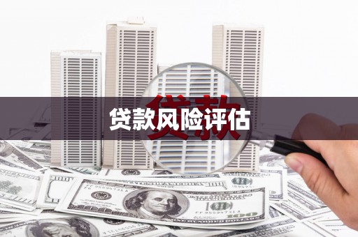 灵武贷款风险评估
