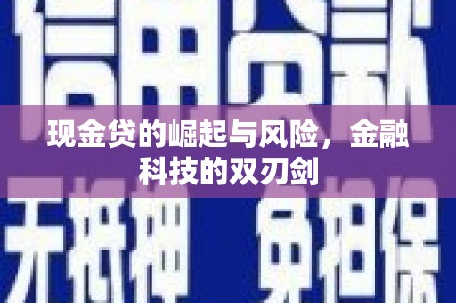 灵武现金贷的崛起与风险，金融科技的双刃剑