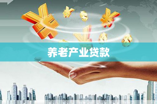 灵武养老产业贷款