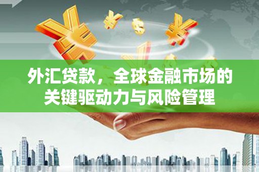 灵武外汇贷款，全球金融市场的关键驱动力与风险管理