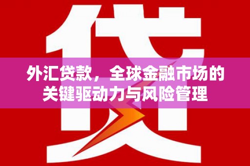 灵武外汇贷款，全球金融市场的关键驱动力与风险管理