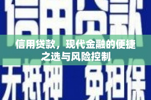 灵武信用贷款，现代金融的便捷之选与风险控制