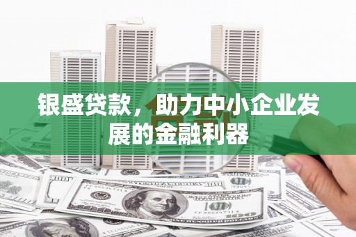 灵武银盛贷款，助力中小企业发展的金融利器