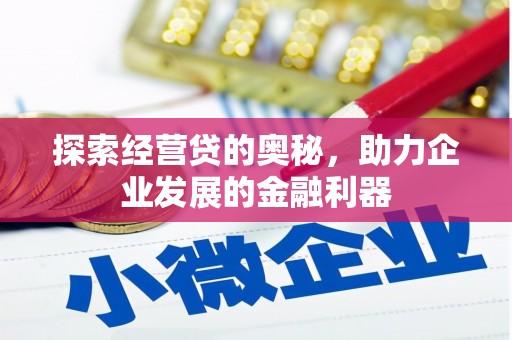 灵武探索经营贷的奥秘，助力企业发展的金融利器