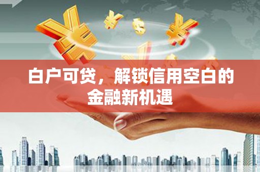 灵武白户可贷，解锁信用空白的金融新机遇