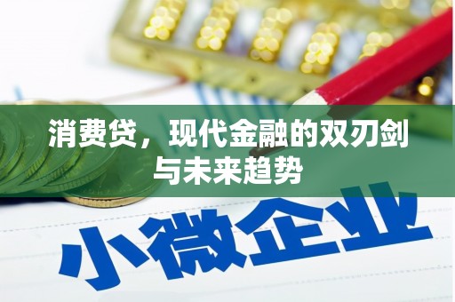 灵武消费贷，现代金融的双刃剑与未来趋势