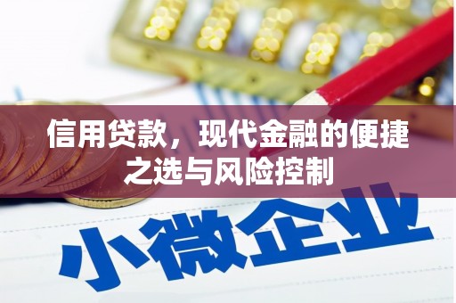 灵武信用贷款，现代金融的便捷之选与风险控制