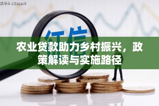 灵武农业贷款助力乡村振兴，政策解读与实施路径
