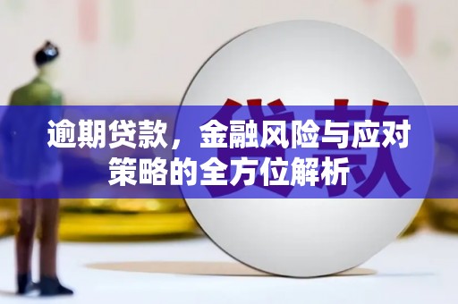 灵武逾期贷款，金融风险与应对策略的全方位解析