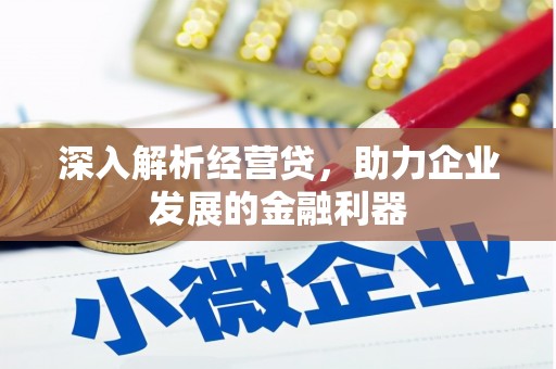 灵武深入解析经营贷，助力企业发展的金融利器