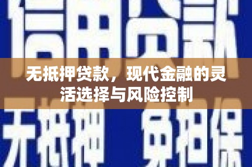 灵武无抵押贷款，现代金融的灵活选择与风险控制