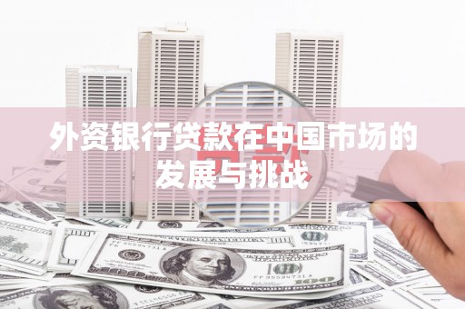 灵武外资银行贷款在中国市场的发展与挑战