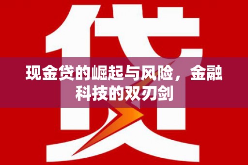 灵武现金贷的崛起与风险，金融科技的双刃剑