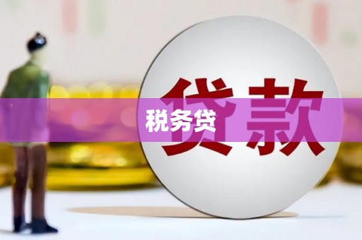 灵武税务贷
