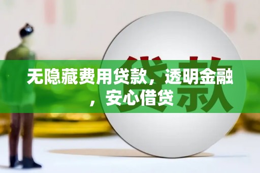 灵武无隐藏费用贷款，透明金融，安心借贷