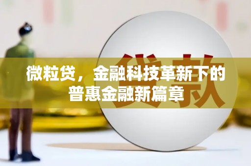 灵武微粒贷，金融科技革新下的普惠金融新篇章