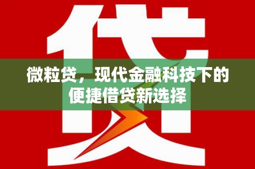灵武微粒贷，现代金融科技下的便捷借贷新选择