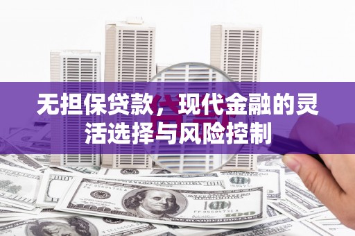 灵武无担保贷款，现代金融的灵活选择与风险控制