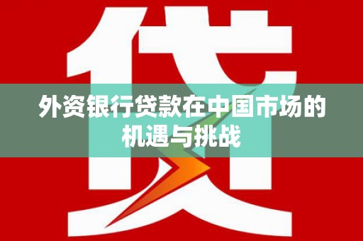 灵武外资银行贷款在中国市场的机遇与挑战