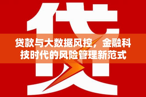 灵武贷款与大数据风控，金融科技时代的风险管理新范式