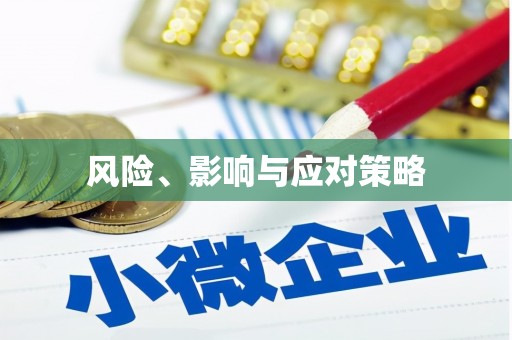 灵武风险、影响与应对策略